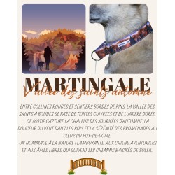 Martingale chien Vallée des Saints Automne – Collier artisanal imperméable B Wild Shop