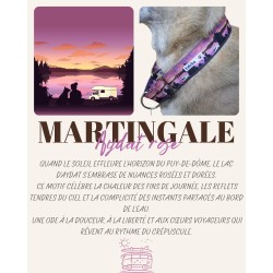 Martingale chien Lac d’Aydat Rose – Collier artisanal imperméable B Wild Shop