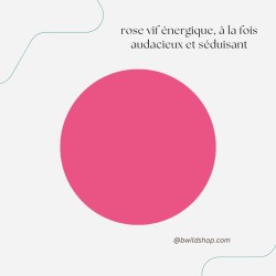 Longe pour chien Sunset Glow – TPU imperméable & fabrication artisanale | B Wild Shop