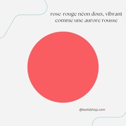Longe pour chien Rose Néon – TPU imperméable & fabrication artisanale | B Wild Shop