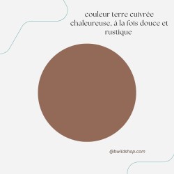 Longe pour chien Marron – TPU imperméable & fabrication artisanale | B Wild Shop