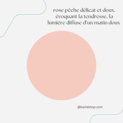 Longe pour chien Rose Pastel – TPU imperméable & fabrication artisanale | B Wild Shop
