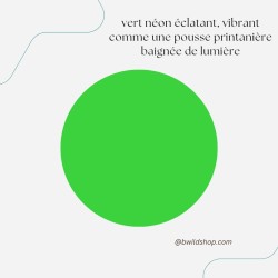 Longe pour chien Vert Néon – TPU imperméable & fabrication artisanale | B Wild Shop