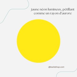 Longe pour chien Jaune Néon – TPU imperméable & fabrication artisanale | B Wild Shop