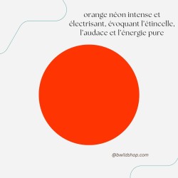 Longe pour chien Orange Néon – TPU imperméable & fabrication artisanale | B Wild Shop