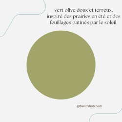 Longe pour chien Kaki – TPU imperméable & fabrication artisanale | B Wild Shop