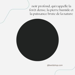 Longe pour chien Noire – TPU imperméable & fabrication artisanale | B Wild Shop