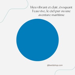 Longe pour chien Bleu Clair – TPU imperméable & fabrication artisanale | B Wild Shop