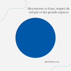 Longe pour chien Bleu Foncé – TPU imperméable & fabrication artisanale | B Wild Shop