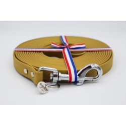 Longe doré pour chien – Longe imperméable en TPU | B Wild Shop