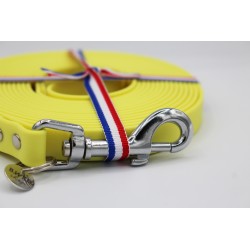 Longe jaune pastel pour chien – Longe imperméable en TPU | B Wild Shop