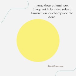 Longe jaune pastel pour chien – Longe imperméable en TPU | B Wild Shop