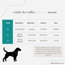 Harnais Cheptainville – Tissu imperméable & bouclerie Safe Lock argent | B Wild Shop