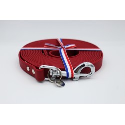 Longe pour chien Bordeaux – TPU imperméable & fabrication artisanale | B Wild Shop
