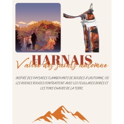 Harnais Vallée des Saints Automne – Tissu imperméable & bouclerie Safe Lock argent | B Wild Shop