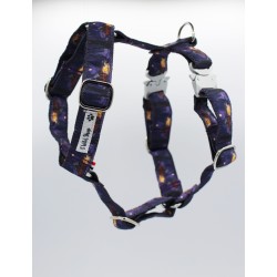 Harnais Grands Avaux Violet – Tissu imperméable & bouclerie Safe Lock argent | B Wild Shop