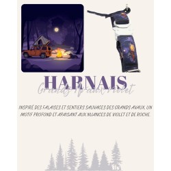 Harnais Grands Avaux Violet – Tissu imperméable & bouclerie Safe Lock argent | B Wild Shop