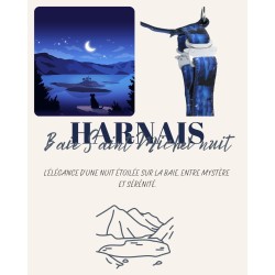 Harnais Baie Saint-Michel Nuit – Tissu imperméable & bouclerie Safe Lock argent | B Wild Shop