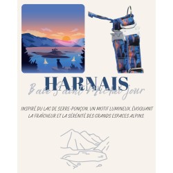 Harnais Baie Saint-Michel Jour – Tissu imperméable & bouclerie Safe Lock argent | B Wild Shop