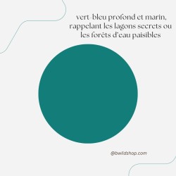 Longe Hexa Teal – Antidérapante & Imperméable | B Wild Shop