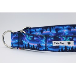 Martingale Yukon – Collier imperméable pour chien | B Wild Shop
