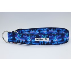 Martingale Yukon – Collier imperméable pour chien | B Wild Shop