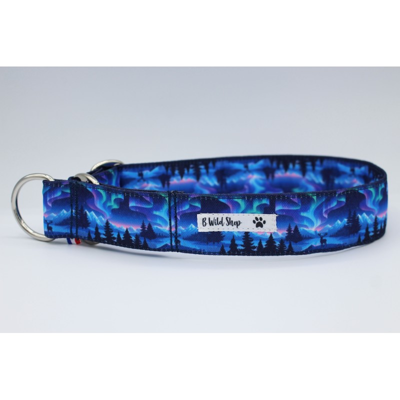 Martingale Yukon – Collier imperméable pour chien | B Wild Shop Martingale Yukon – Collier imperméable pour chien | B Wild Shop