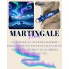 Martingale Yukon – Collier imperméable pour chien | B Wild Shop