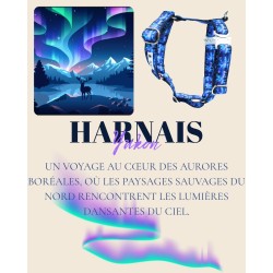 Harnais Yukon – Tissu imperméable & bouclerie Safe Lock argent | B Wild Shop