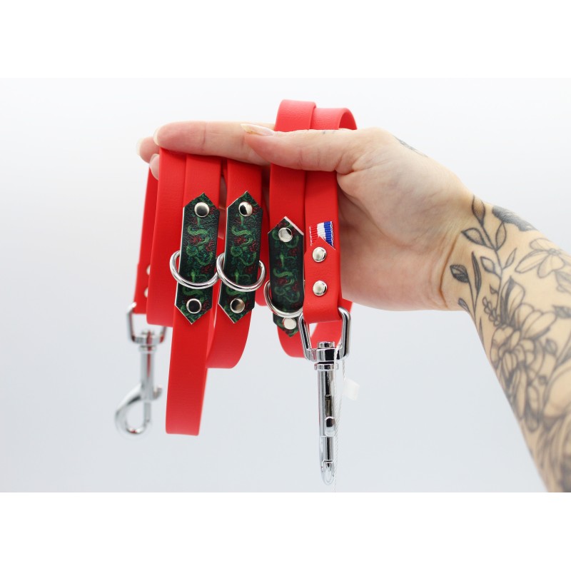 Laisse multipositions Jörmungand – TPU imperméable & motifs UV | B Wild Shop