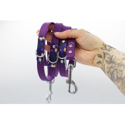 Laisse multipositions Grands Avaux violette – TPU imperméable & motifs UV | B Wild Shop