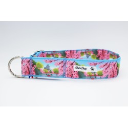 Martingale Himeji – Collier chien Japon | B Wild Shop