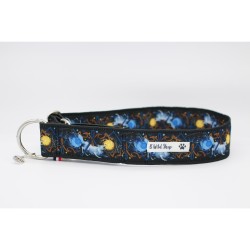 Martingale Hati et Sköll – Collier chien ajustable & motif nordique | B Wild Shop