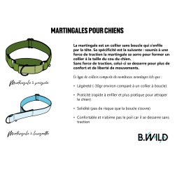 Martingale Chamarande